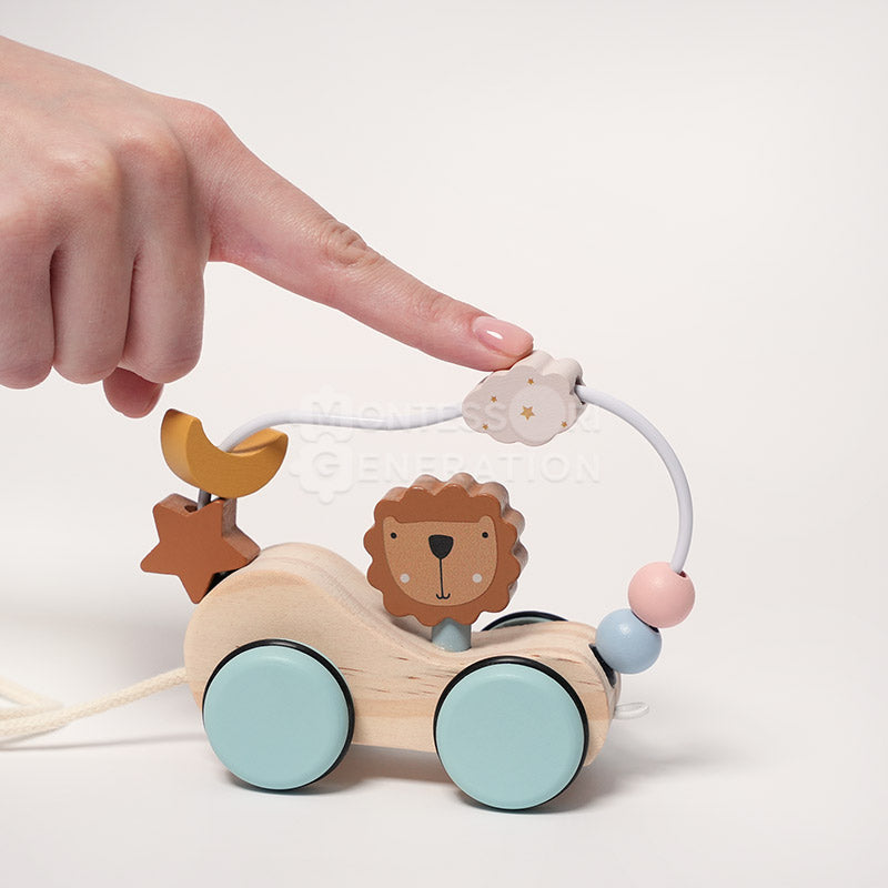 Montessori First Steps Bundle
