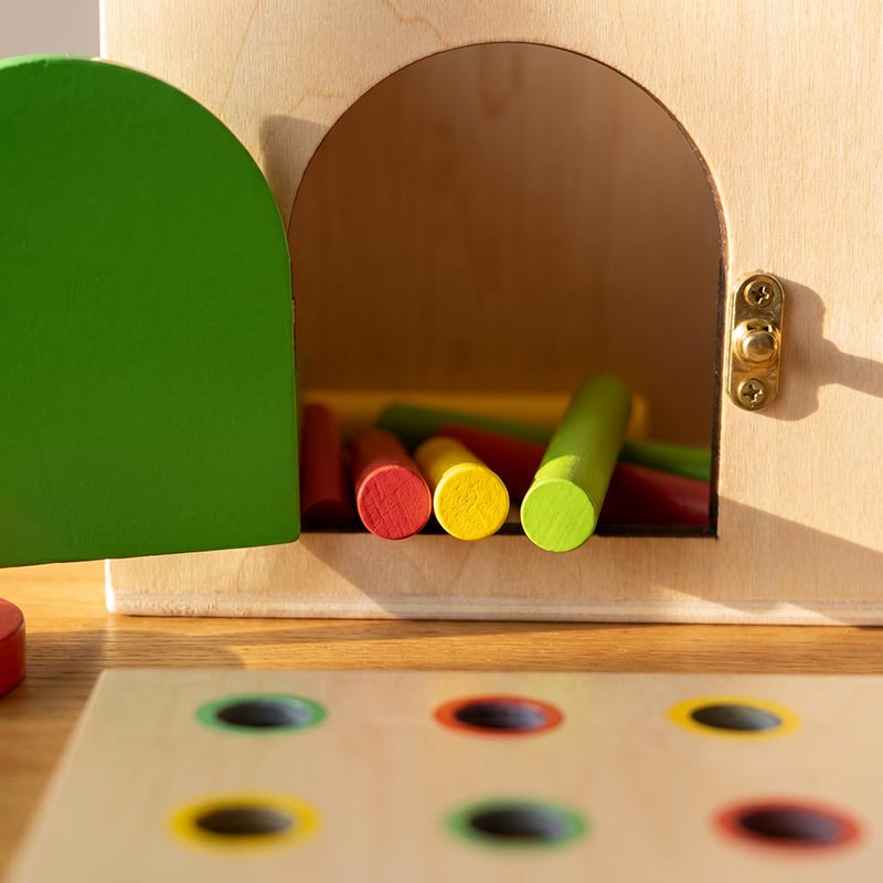 Montessori 6-in-1 Sorting Tool