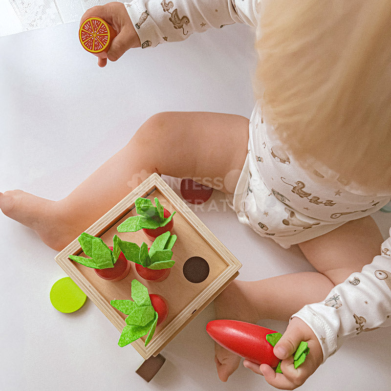 Montessori 6-in-1 Sorting Tool