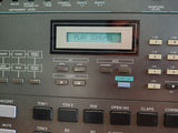 Casio RZ-1 Digital Sampling Rhythm Composer 1986, New Internal Battery